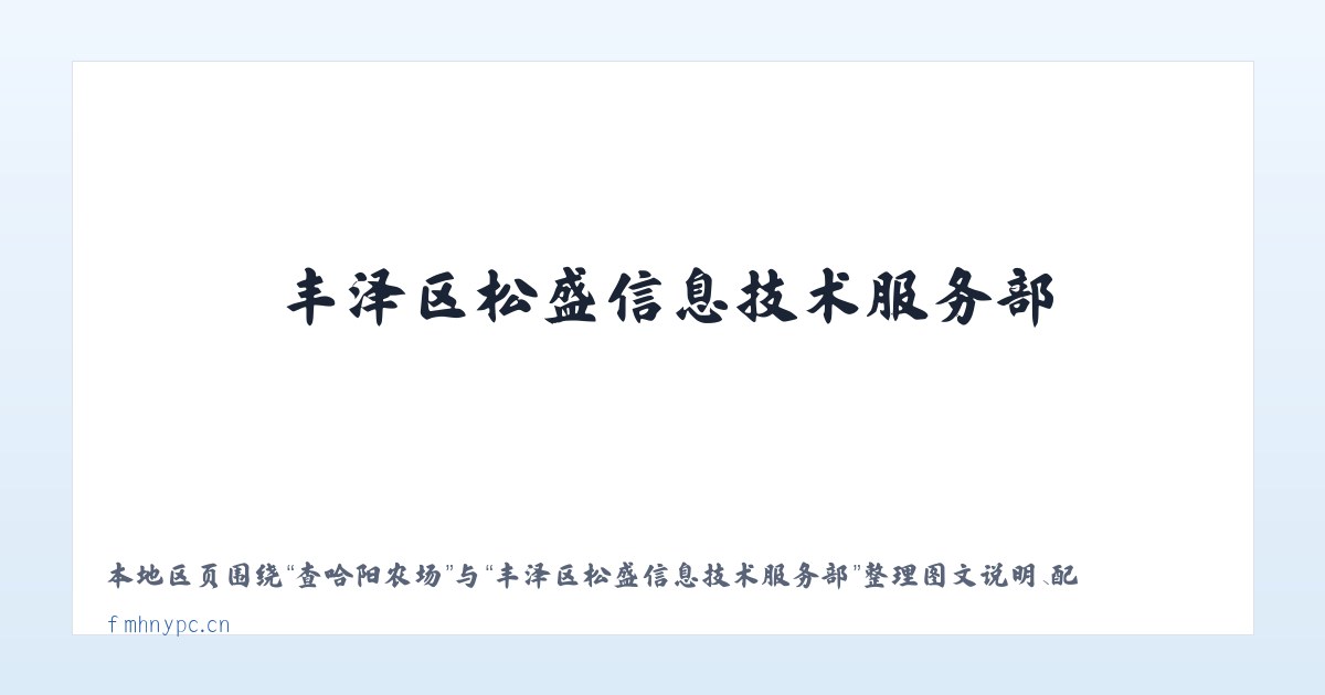 麦子店街道 - 丰泽区松盛信息技术服务部 主图